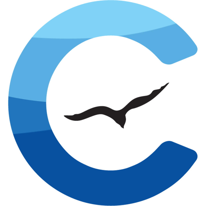 The cape current